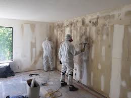 Why You Should Choose Our Mold Remediation Services in Dennis Port, MA